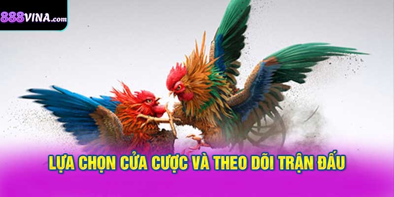 Lựa Chọn Cửa Cược Và Theo Dõi Trận Đấu