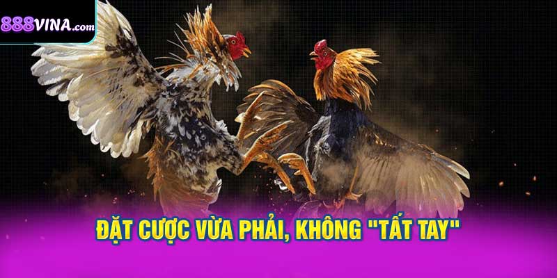 Đặt Cược Vừa Phải, Không "Tất Tay"